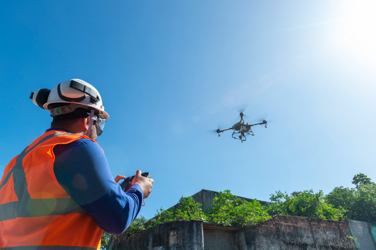 Uso De Drone Vai Intensificar O Controle De Insetos No Pinheiro