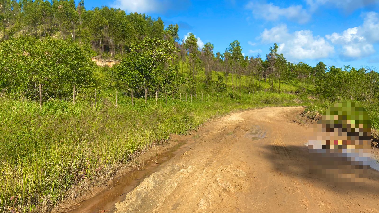 Achado Macabro Corpo Desmembrado Encontrado Em Estrada No Litoral