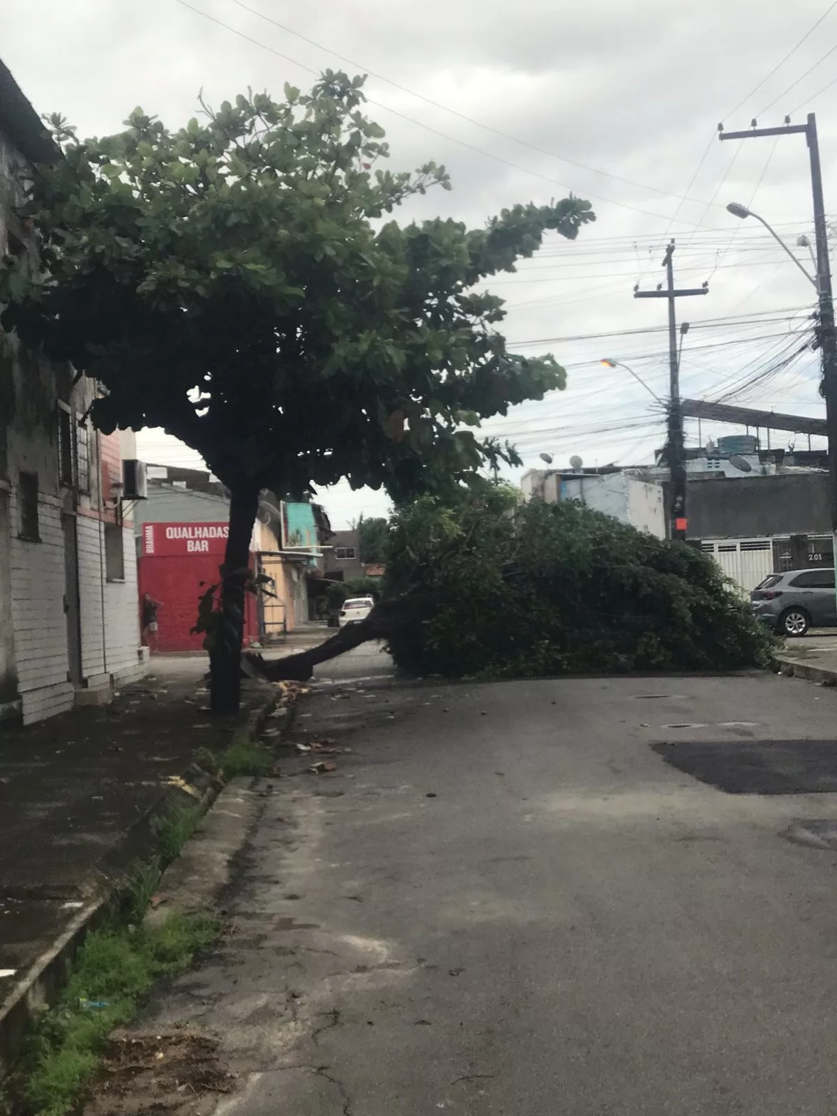 Chuva e ventos fortes derrubam árvores e deixam bairros de Maceió sem