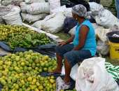 A agricultora Olívia Bezerra espera vender toda a produção na feira