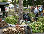 Feira comercializa produtos de assentamentos e acampamentos do MLST