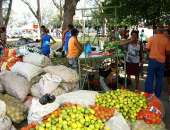 Feira comercializa produtos de assentamentos e acampamentos do MLST