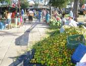 Tem início hoje a feira da agrcultura na Praça da Faculdade