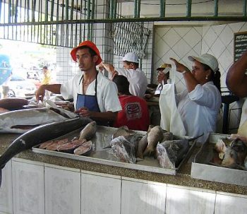 Pescadores dizem que procura por peixe aumentou em relação ao ano passado