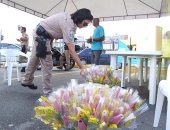 SMTT e PRF ainda distribuíram flores e panfletos