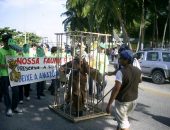 Preservação da flora e fauna brasileiras foram defendidas pelos estudantes