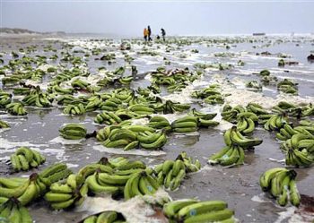 Bananas invadem praia