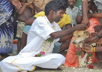 Homem é casado com cachorra na Índia