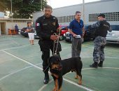 Temperamento dócil do cão chamou a atenção de agentes e policiais