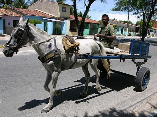 Carroceiros serão cadastrados pela Prefeitura de Maceió