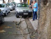 Galho cariu e atingiu veículo na Rua das Árvores