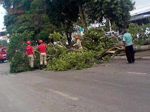 Avenida ficou interditada durante trabalho do bombeiros