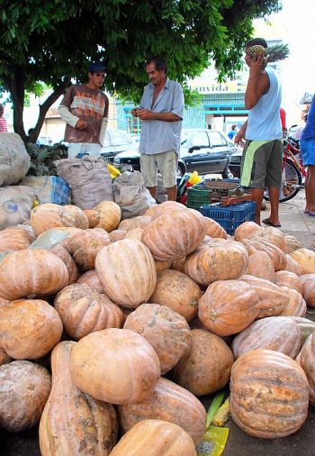 Sionelly Leite/Alagoas24horas