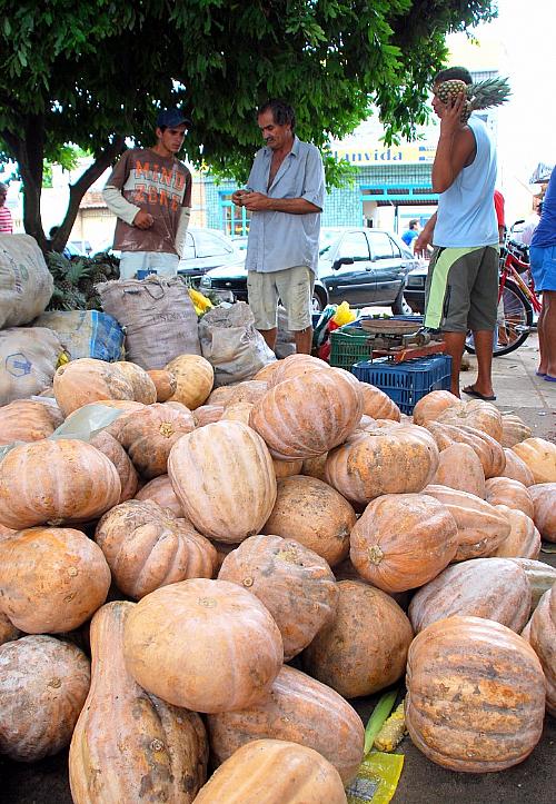 Produtos serão comercializados até a próxima sexta-feira