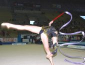 Os atletas competem em aparelhos como trave de equilíbrio, barras paralelas simétricas e assimétricas, salto no cavalo, solo e argolas