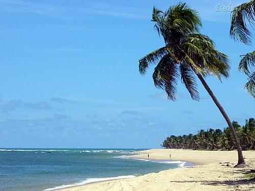 Praia do Francês