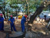 Corte de árvores causou revolta entre moradores do conjunto