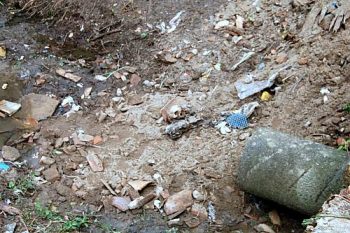 Crânio foi encontrado durante a limpeza do terreno em Coqueiro Seco