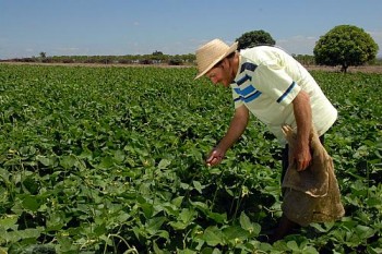 Edital vai contemplar técnicos agrícolas e demais profissionais que atuam no campo