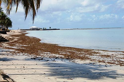 A Marinha identificou que a luz alaranjada no mar de Maceió é semelhante a  sinalizadores. - ZéNewsAi