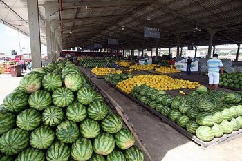 Com novo galpão, mais atacadistas podem comercializar seus produtos