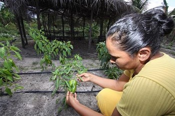 Objetivo é a produção de alimentos saudáveis, preservando o meio ambiente e de forma sustentável