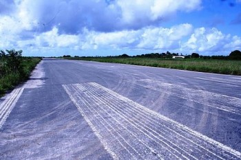 Plantações de mandioca estão entre as culturas encontradas no entorno da pista do aeroporto de Penedo