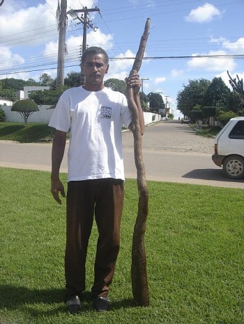 Benedito Acioli de Souza e a macaxeira gigante