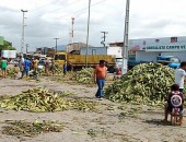 Procura por milho é intensa na região do Mercado da Produção