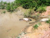 Corpo foi encontrado às margens do Rio São Miguel