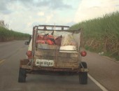 Carne em condições precárias de higiene