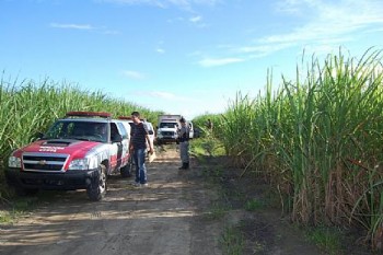 Devido ao avançado estado de decomposição, local ficou tomado pelo mau cheiro