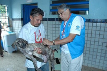 Animais foram imunizados em abrigo