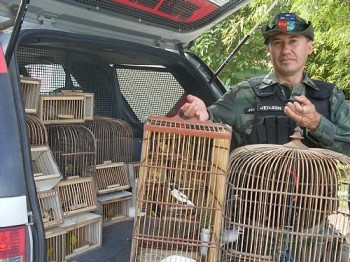 Operação ocorreu na cidade de Viçosa, no interior de Alagoas