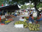 Feira da Reforma Agrária