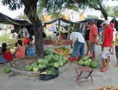 Feira da Reforma Agrária