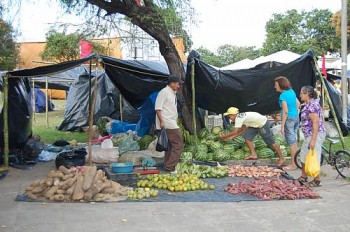 Feira da Reforma Agrária