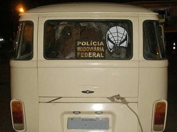 Polícia apreende vaca que era levada em Kombi roubada no RS