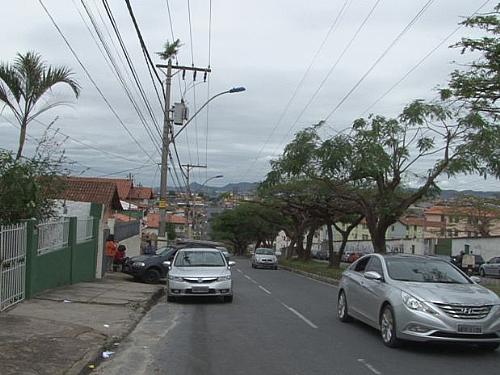 Árvore que nasceu em poste de energia elétrica preocupa moradores de Contagem