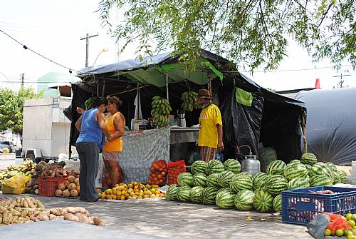 MLST realiza Feira da Reforma Agrária