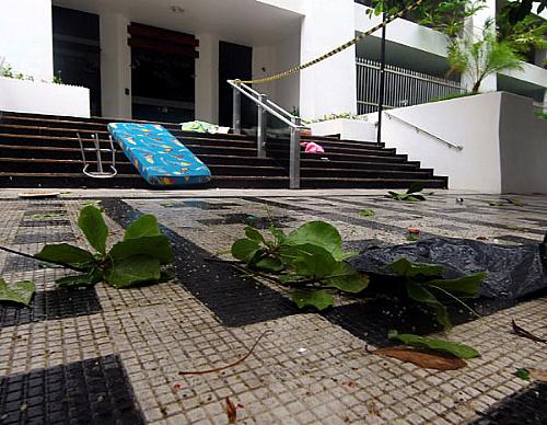 Mulher joga cachorros da janela de apartamento