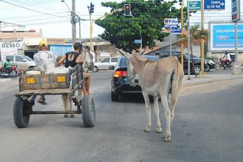 Railton Teixeira/Alagoas24horas