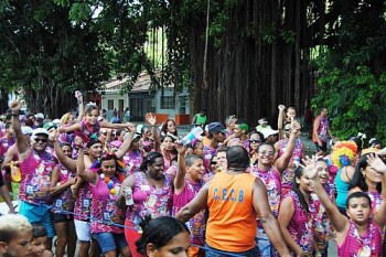 Bloco da Raposa animou carnaval em Bebedouro