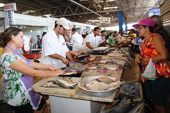 Venda de pescado movimenta consumidores