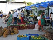 A Feira Camponesa Itinerante estará no Pinheiro até sábado