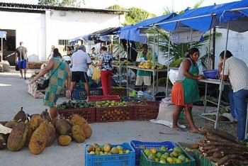 Priscylla Régia/Alagoas24Horas