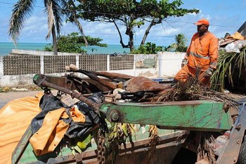 Animal foi recolhido após sofrer descarga elétrica