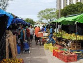 Feira Camponesa