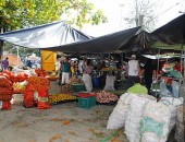 Feira Camponesa permanece em Maceió até o próximo sábado, 16