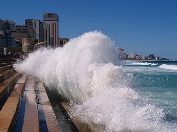 Estudo foi divulgado dias antes da Rio+20.